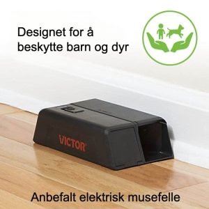 Den moderne måten å fange mus på: Elektriske feller i fokus