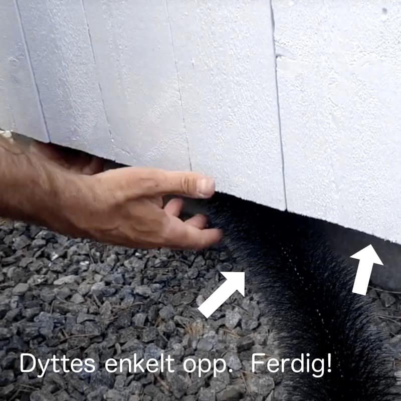 Fjern rotter raskt: Den ultimate guiden til et rottefritt hjem