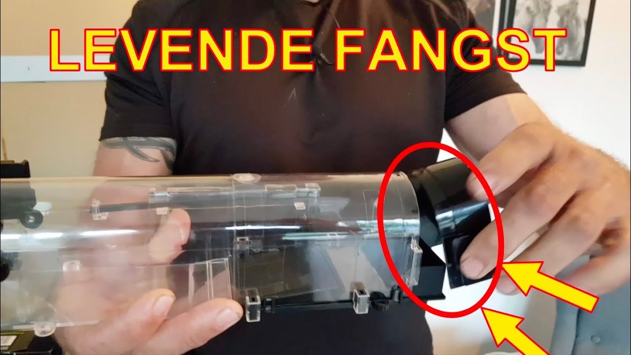 Forbered deg nå: En komplett sjekkliste mot gnagerinvasjon