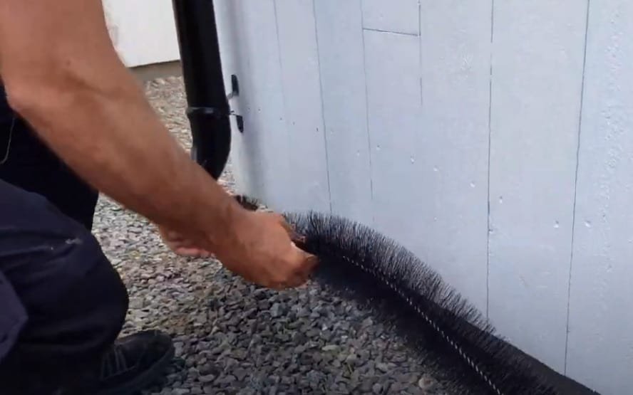 Forebygg skadedyr: Hvorfor musebørster er din beste forsvar mot rotter og mus