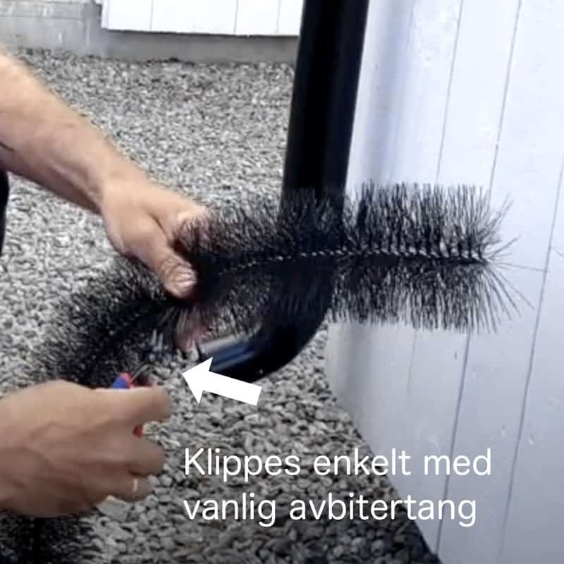 Forebygging av mus: Hvorfor musebørster er din beste venn