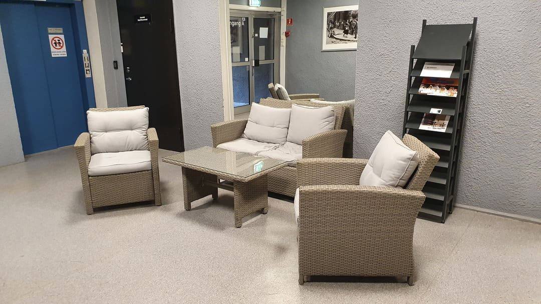 Fra vekst til innovasjon: Skadedyrproffens spennende flytting