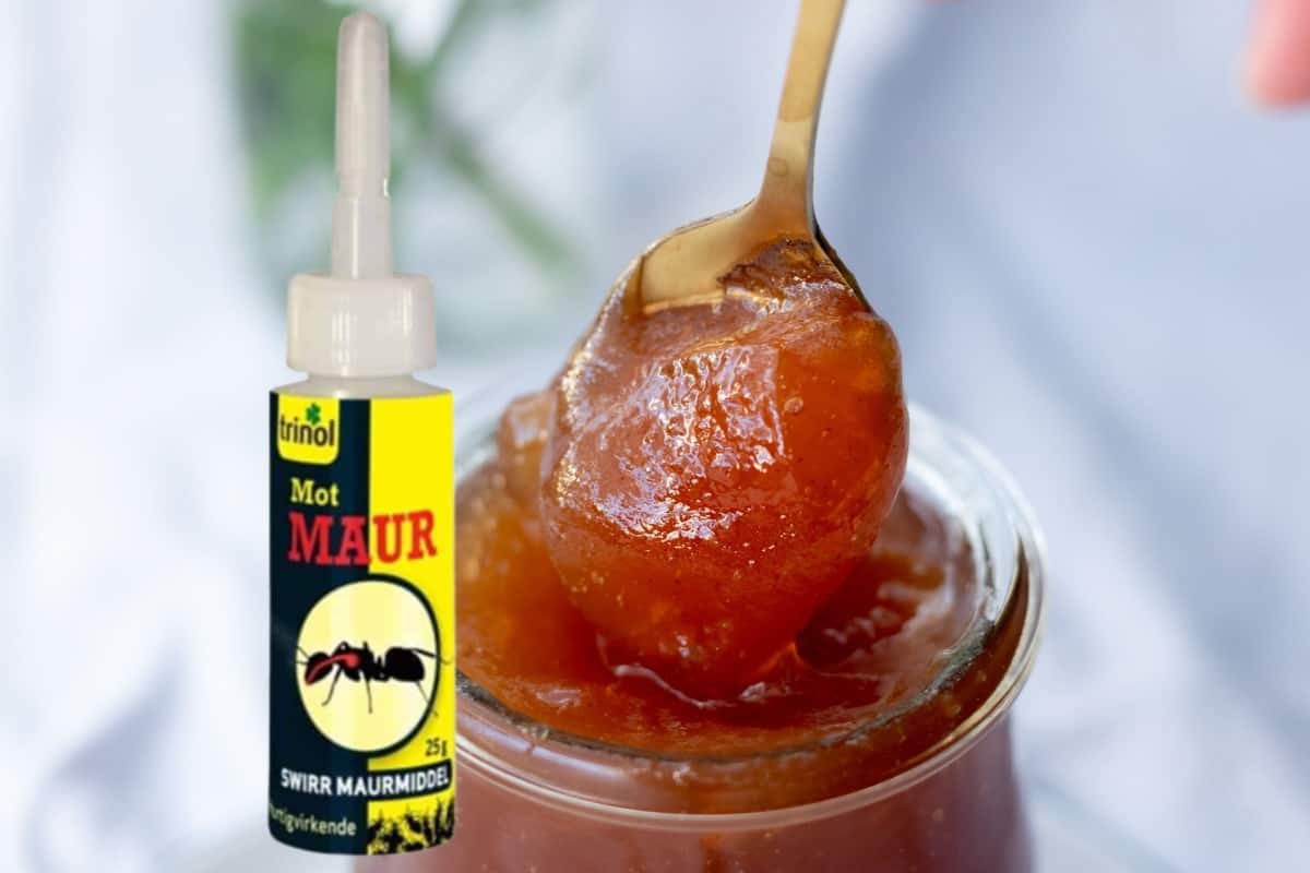 Mauråte virker ikke? Prøv disse smarte triksene