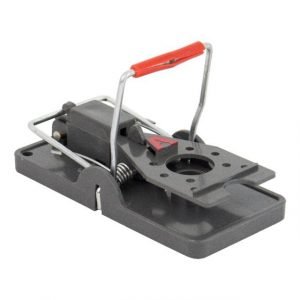 Permanent musefri garasje: Steg for steg til en gnagerfri sone