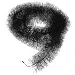 Problem med mus? Lær deg de sikreste og mest effektive løsningene