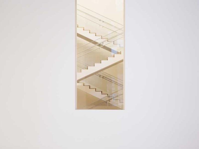 Slik bekjemper du rotter på kjøkkenet raskt og trygt