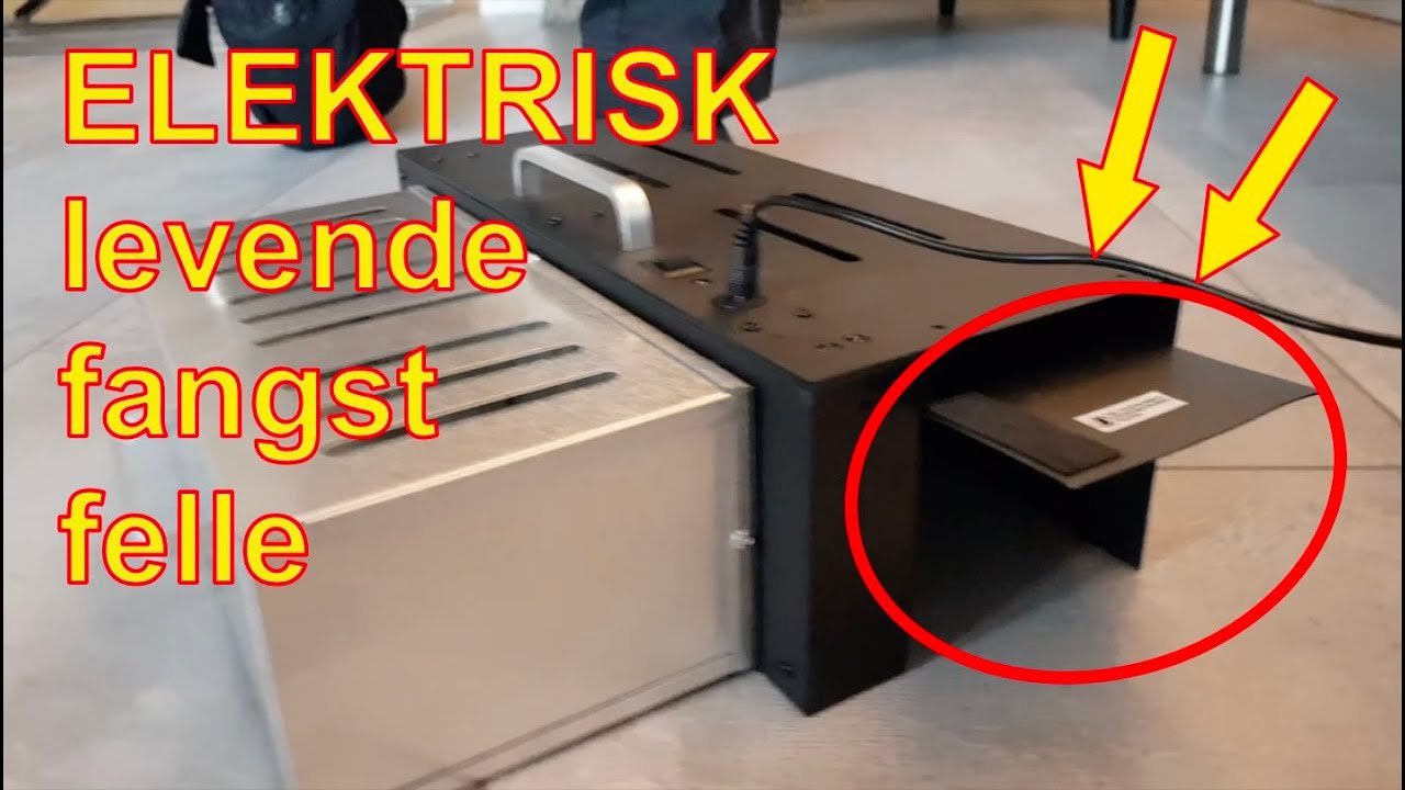 Slik fanger du mus humant: En komplett guide