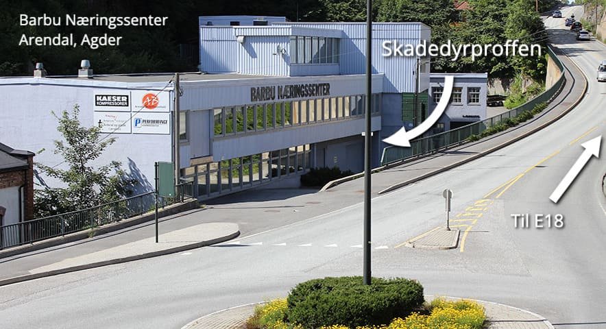 Stopp skadedyrene: En praktisk tilnærming til en varig løsning