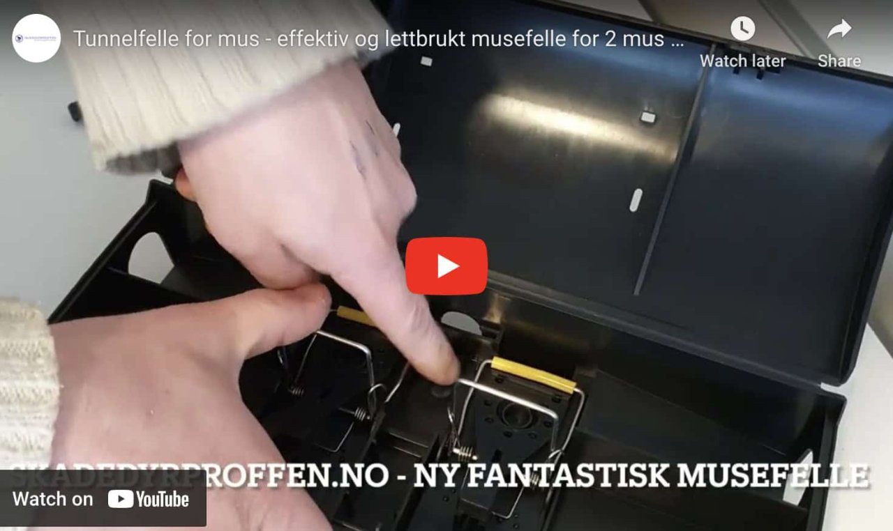 Tunnelfelle for mus: En komplett veiledning til skadedyrkontroll