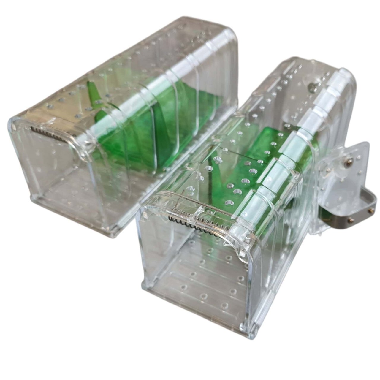 Unngå museproblemer med levende fangst: Tips fra ekspertene